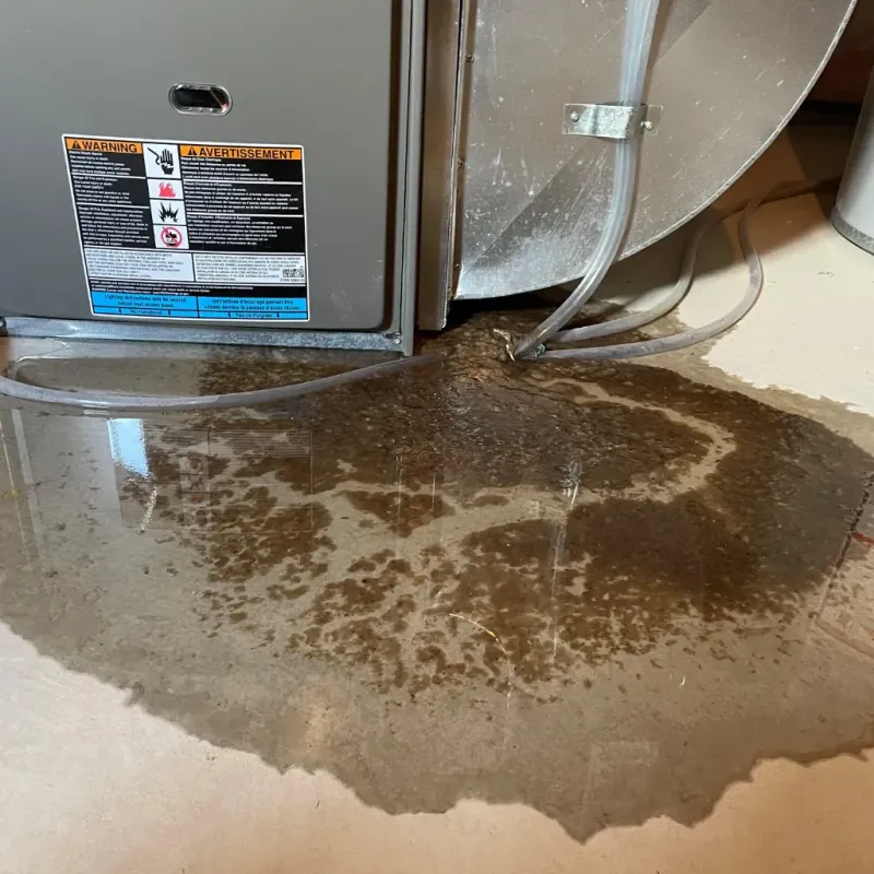 Appliance Leak Cleanup in Wilmot, NH